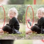 آموزش حذف مزاحم از عکس در فتوشاپ با پیمان صدوق