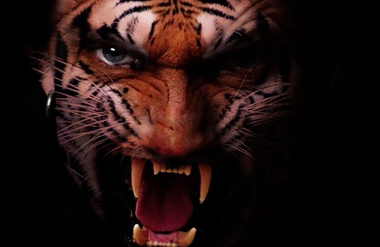 آموزش فتومونتاژ تصویر انسان و ببر