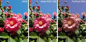 بررسی کامل  ProPhoto RGB و sRGB و Adobe RGB :