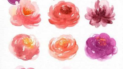 دانلود نقاشی گل آبرنگی برای فتوشاپ